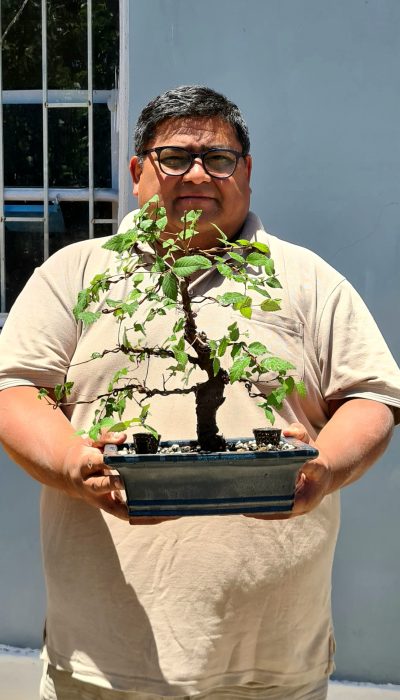 Curso de Bonsai Chile